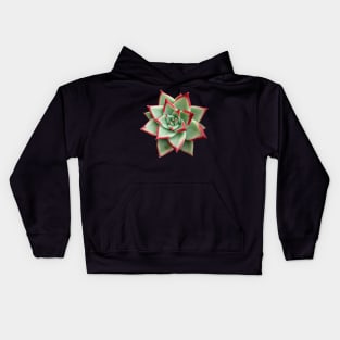 Echeveria Red Tips Kids Hoodie